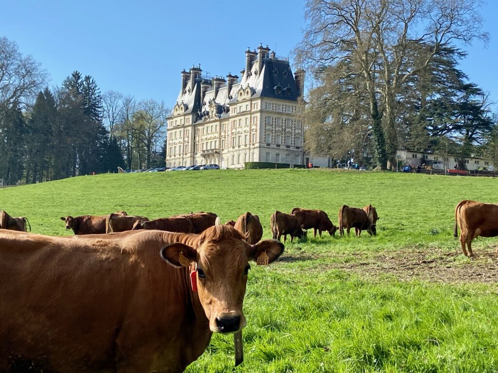 Besigheimer Schülerinnen erkunden Weinanbau in Frankreich