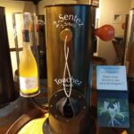 Wein erfahren