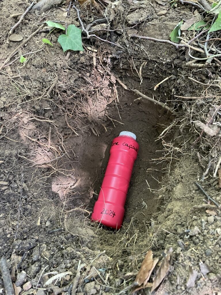 Our time capsule project